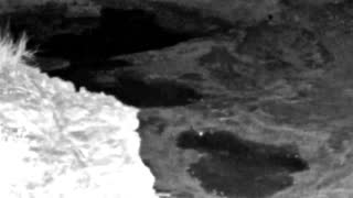 Still 1 from this detection