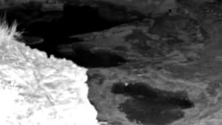 Still 2 from this detection