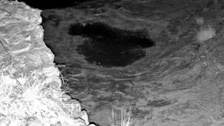 Still 2 from this detection