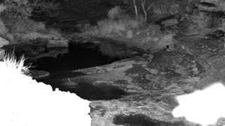 Still 2 from this detection