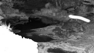 Still 1 from this detection
