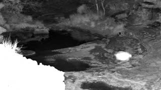 Still 1 from this detection