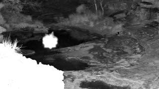 Still 2 from this detection