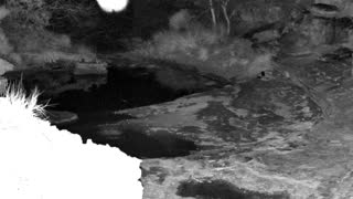 Still 3 from this detection