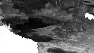 Still 1 from this detection