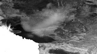 Still 1 from this detection