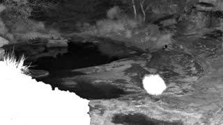 Still 1 from this detection