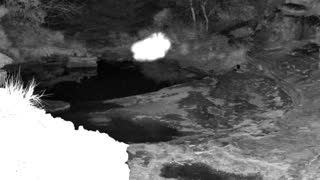 Still 2 from this detection