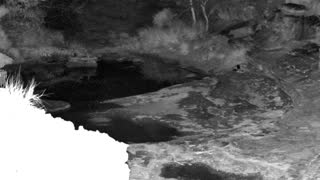 Still 2 from this detection