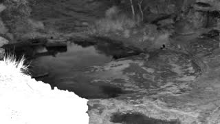 Still 1 from this detection