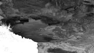 Still 3 from this detection