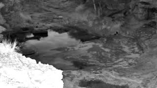 Still 1 from this detection