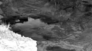 Still 3 from this detection
