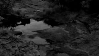 Still 1 from this detection
