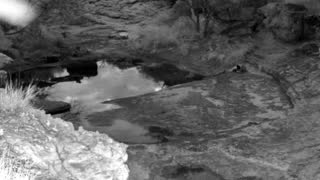 Still 2 from this detection