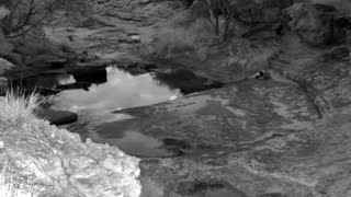 Still 3 from this detection
