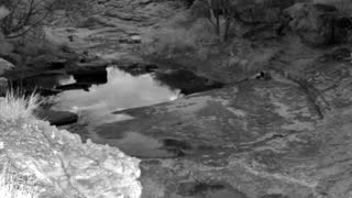 Still 1 from this detection