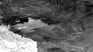 Still 2 from this detection