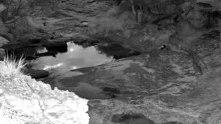 Still 3 from this detection