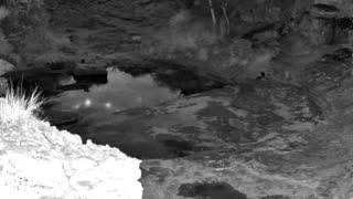 Still 2 from this detection
