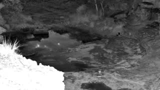 Still 1 from this detection