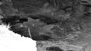 Still 3 from this detection
