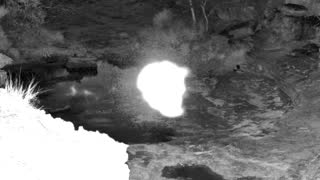 Still 1 from this detection
