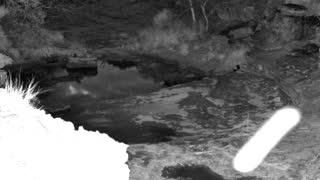 Still 3 from this detection