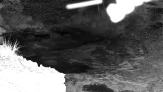 Still 1 from this detection