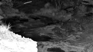 Still 2 from this detection
