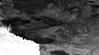 Still 3 from this detection