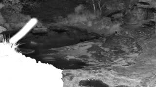 Still 1 from this detection