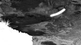 Still 3 from this detection
