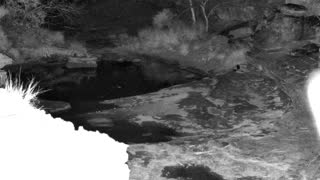 Still 1 from this detection
