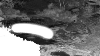 Still 1 from this detection