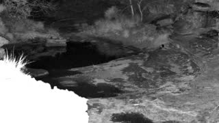 Still 2 from this detection