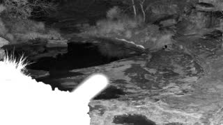 Still 1 from this detection