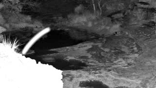 Still 2 from this detection