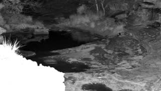 Still 2 from this detection