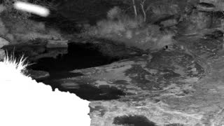 Still 2 from this detection