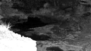 Still 2 from this detection