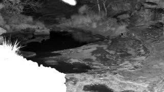 Still 1 from this detection