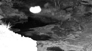 Still 2 from this detection
