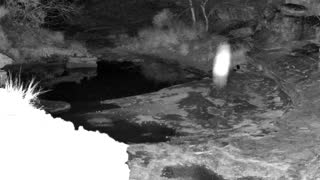 Still 1 from this detection
