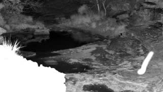 Still 1 from this detection