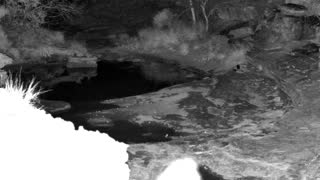 Still 1 from this detection