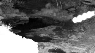 Still 1 from this detection