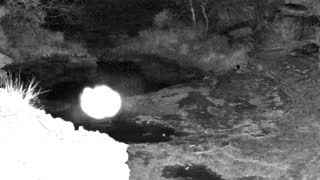 Still 2 from this detection