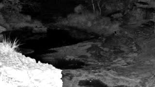 Still 2 from this detection