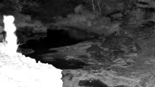 Still 1 from this detection